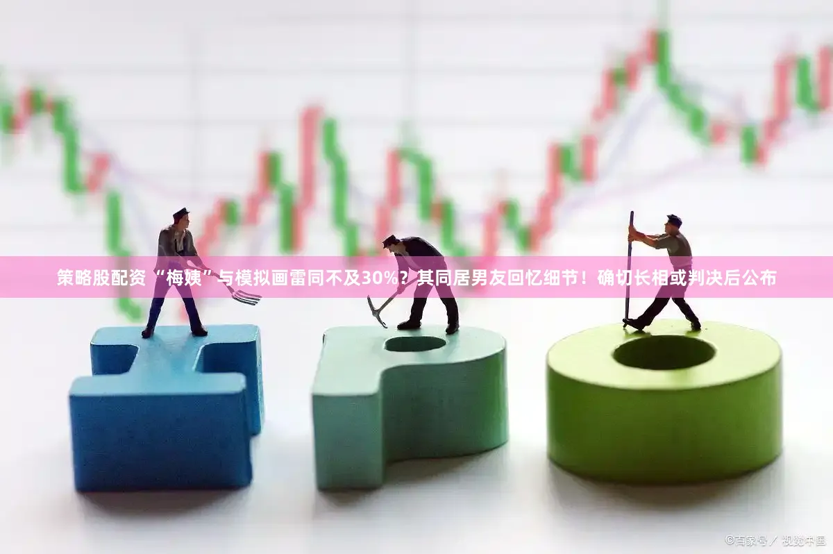 策略股配资 “梅姨”与模拟画雷同不及30%？其同居男友回忆细节！确切长相或判决后公布