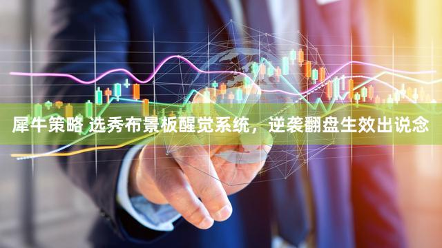 犀牛策略 选秀布景板醒觉系统，逆袭翻盘生效出说念