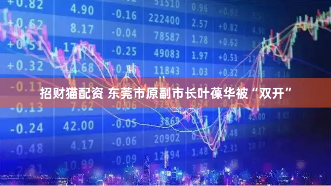 招财猫配资 东莞市原副市长叶葆华被“双开”